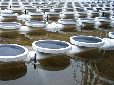 Coarse Bubble Air Diffuser